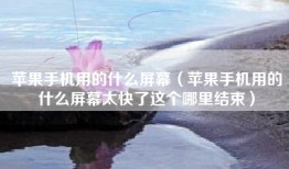 苹果手机用的什么屏幕（苹果手机用的什么屏幕太快了这个哪里结束）