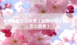 手机流量怎么收费（在国外用手机流量怎么收费）