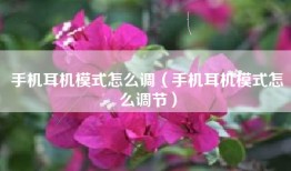 手机耳机模式怎么调（手机耳机模式怎么调节）