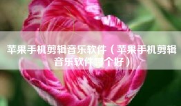 苹果手机剪辑音乐软件（苹果手机剪辑音乐软件哪个好）