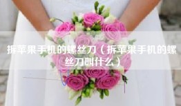 拆苹果手机的螺丝刀（拆苹果手机的螺丝刀叫什么）