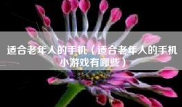 适合老年人的手机（适合老年人的手机小游戏有哪些）