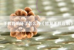 手机音响坏了怎么办（修复手机音响）