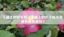 不能上网的手机（不能上网的手机小灵通会被黑客吗）