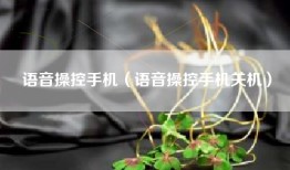 语音操控手机（语音操控手机关机）