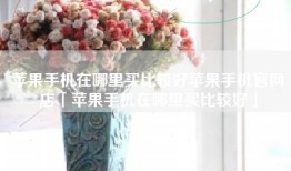 苹果手机在哪里买比较好苹果手机官网店「苹果手机在哪里买比较好」