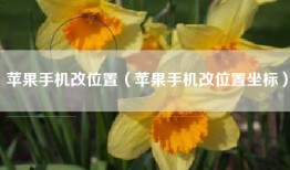 苹果手机改位置（苹果手机改位置坐标）