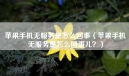 苹果手机无服务是怎么回事（苹果手机无服务是怎么回事儿？）