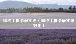 哪种手机卡最实惠（哪种手机卡最实惠好用）
