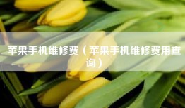 苹果手机维修费（苹果手机维修费用查询）