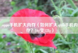 oppo手机扩大内存（如何扩大oppo手机内存？16g变128g）