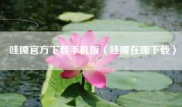 哇嘎官方下载手机版（哇嘎在哪下载）