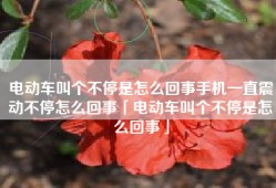 电动车叫个不停是怎么回事手机一直震动不停怎么回事「电动车叫个不停是怎么回事」