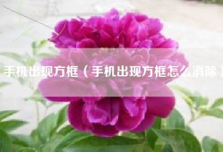 手机出现方框（手机出现方框怎么消除）