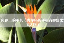 内存1tb的手机（内存1tb的手机有哪些比512大吗）