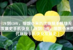 5W到120W，细数小米历代旗舰手机快充发展史手机快充「5W到120W，细数小米历代旗舰手机快充发展史」