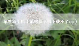苹果新手机（苹果新手机下载不了app）