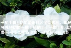 一加手机AI功能带来什么全新体验：揭秘其独特功能一加手机助手「一加手机AI功能带来什么全新体验：揭秘其独特功能」
