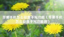 苹果手机怎么设置手写功能（苹果手机怎么设置手写功能啊）