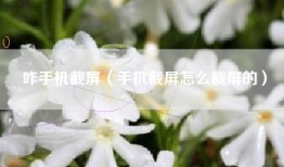 咋手机截屏（手机截屏怎么截屏的）