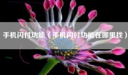 手机闪付功能（手机闪付功能在哪里找）