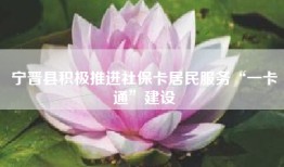 宁晋县积极推进社保卡居民服务“一卡通”建设