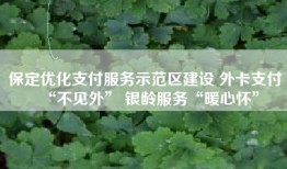 保定优化支付服务示范区建设 外卡支付“不见外” 银龄服务“暖心怀”