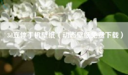 3d立体手机壁纸（动态壁纸免费下载）