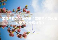 苹果手机怎么变安卓（苹果手机怎么变安卓系统免费软件）
