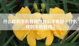 什么样的手机好用用什么手机好「什么样的手机好用」