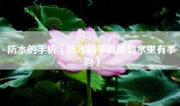 防水的手机（防水的手机掉到水里有事吗）