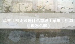 苹果手机无锁是什么意思（苹果手机激活锁怎么解）
