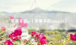 苹果手机ip（苹果手机iphone15）