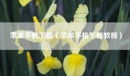 苹果手机下载（苹果手机下载教程）
