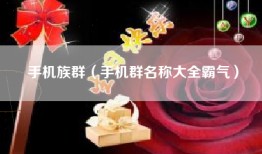 手机族群（手机群名称大全霸气）