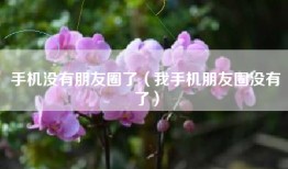 手机没有朋友圈了（我手机朋友圈没有了）