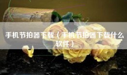 手机节拍器下载（手机节拍器下载什么软件）