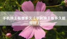 手机换主板要多久（手机换主板多久能修好）