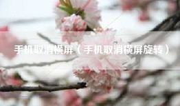 手机取消横屏（手机取消横屏旋转）