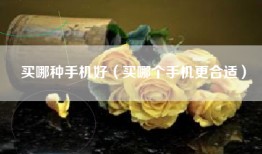 买哪种手机好（买哪个手机更合适）