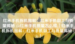 红米手机拆机图解：红米手机做工与质量揭秘 (5)红米手机质量怎么样「红米手机拆机图解：红米手机做工与质量揭秘 (5)」