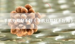 手机分期好不好（手机分期好不好用）