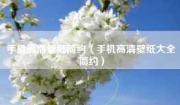 手机高清壁纸简约（手机高清壁纸大全简约）