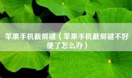 苹果手机截屏键（苹果手机截屏键不好使了怎么办）