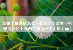 苹果手机微信怎么下载两个（苹果手机微信怎么下载两个微信一个手机上面）