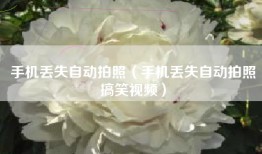 手机丢失自动拍照（手机丢失自动拍照搞笑视频）
