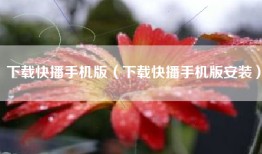 下载快播手机版（下载快播手机版安装）