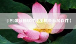 手机录音棚软件（手机录音器软件）