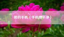 搓的手机（手机擦干净）