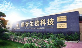 广东椰泰，正在快速成长的饮料新势力品牌手机凤凰网「广东椰泰，正在快速成长的饮料新势力品牌」
